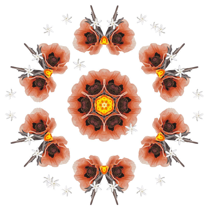 Navulling geurstokjes 200ml Velours d'Orient | Orientaalse velours