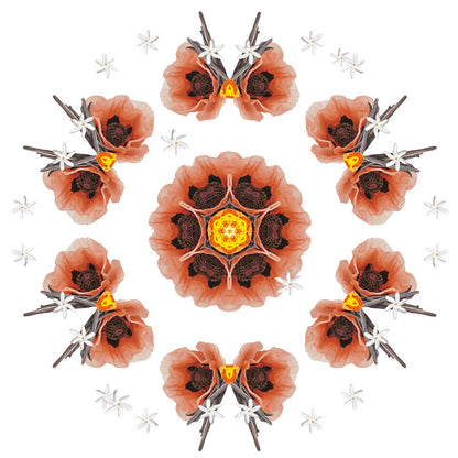 Navulling geurstokjes 200ml Velours d'Orient | Orientaalse velours