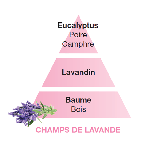 Lampe Berger huisparfum Champs de Lavende - Lavendel velden