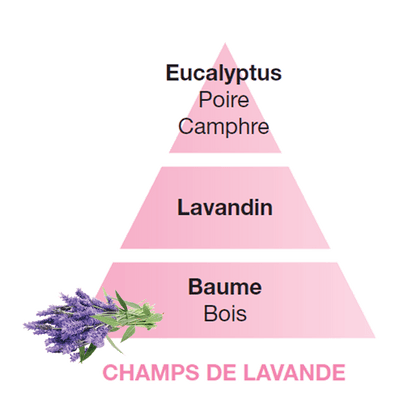 Lampe Berger huisparfum Champs de Lavende - Lavendel velden