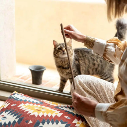 Wierook 8 sticks XXL CITRONNELLE (40CM)