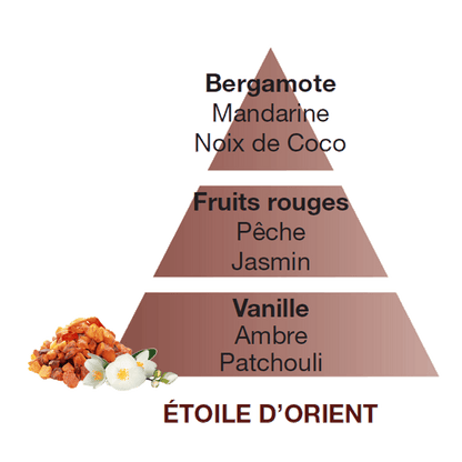 Lampe Berger huisparfum  Étoile d'Orient - Oosterse ster
